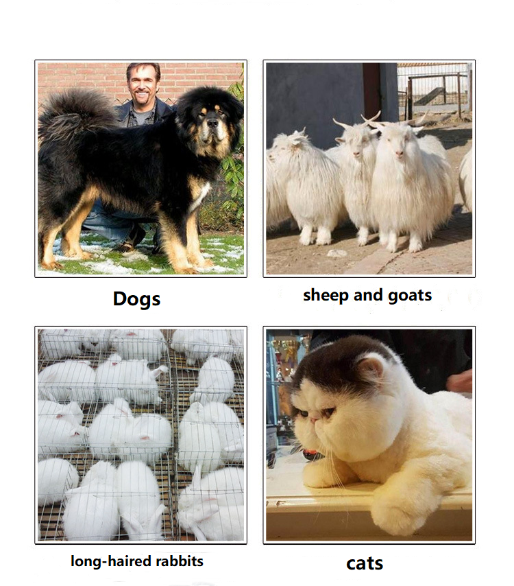 T45 johdollinen lemmikkileikkuri T45 johdollinen lemmikkileikkuri